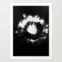Abstract Flower Head Photogram Art Print