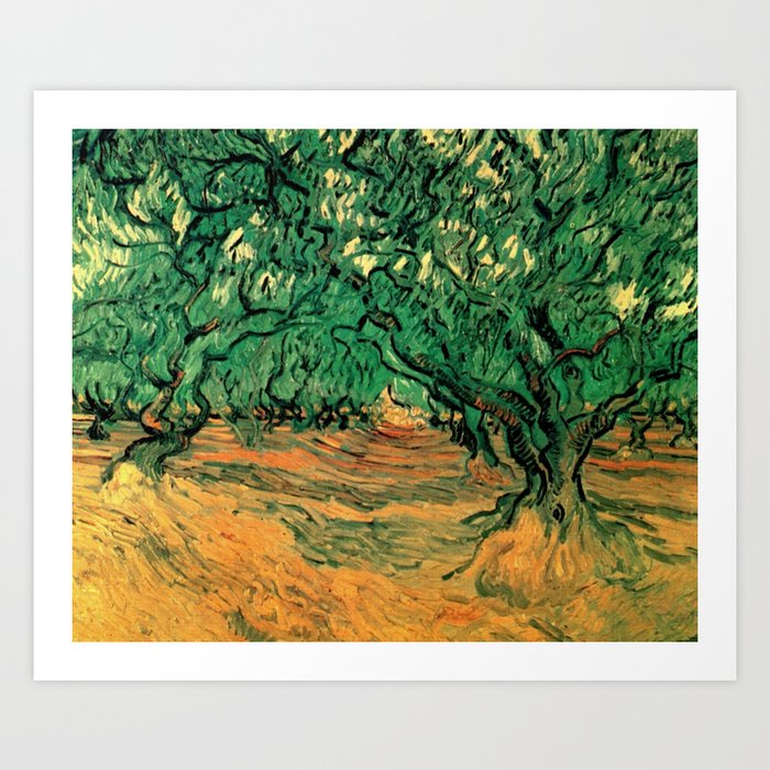 Olive Trees by Vincent Van Gogh 1889 Art Print