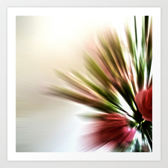Radial Roses Art Print