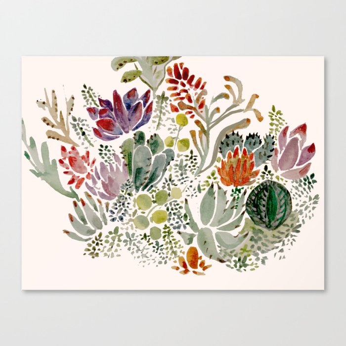 Succulents  Canvas Print