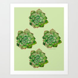 Succulent in watercolor | Green and red colour palette Art Print