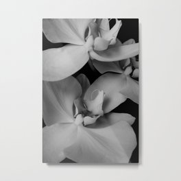 orchids Metal Print