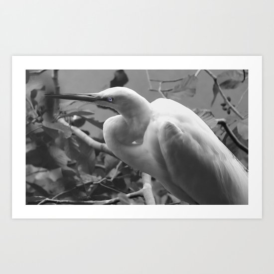 Egret Art Print