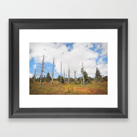 Trees in Mt. Rogers, Virginia Framed Art Print
