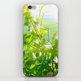 Vineyard iPhone Skin
