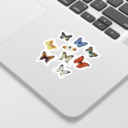 Butterflies in the world Sticker