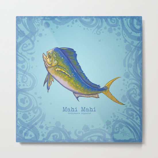 Mahi Mahi ~ Coryphaena hippurus Metal Print