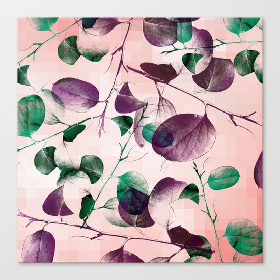 Spiral Eucalyptus Leaves Canvas Print