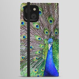 Peacock Katikati New Zealand iPhone Wallet Case