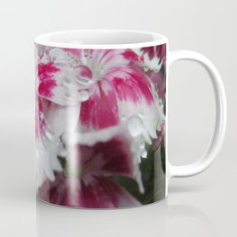 Dewy Dianthus Coffee Mug
