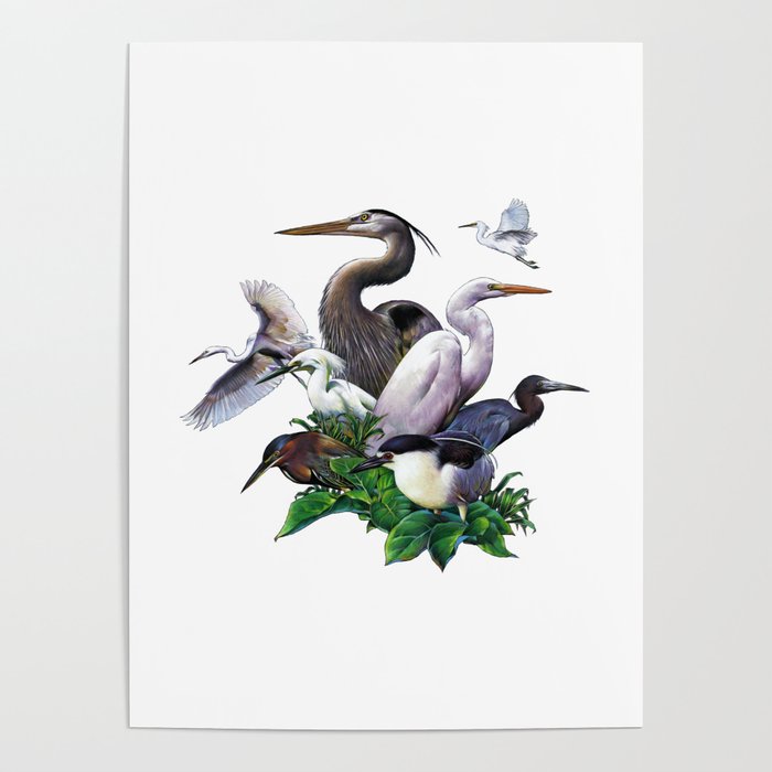 Heron Collage Poster