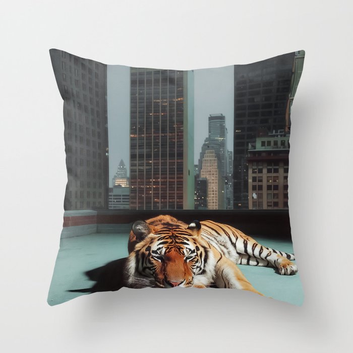 Throw Pillow