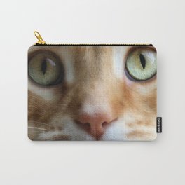 Ginger Mint Kitteh Carry-All Pouch