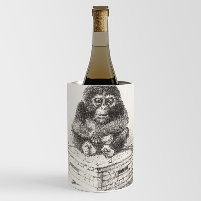 Cute little chimp Wine Chiller