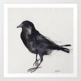 I Like Saucy Crows Art Print