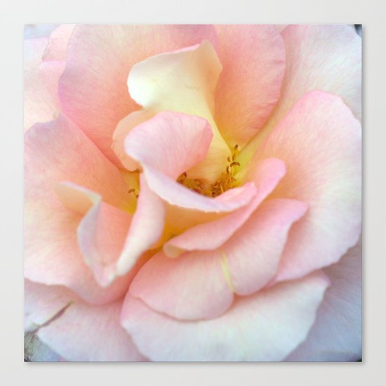 the source Canvas Print
