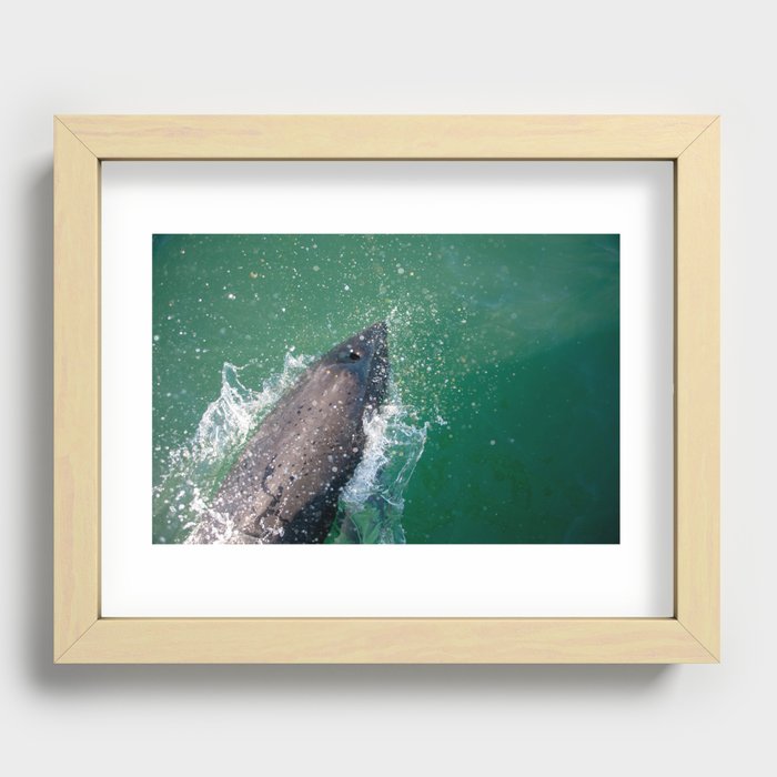 Dolphin jumping out of the water! Recessed Framed Print