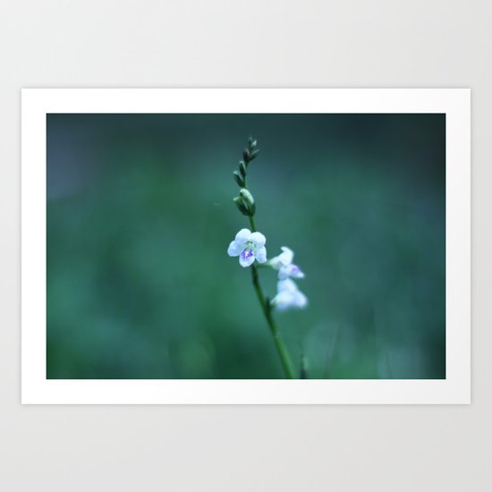 White Flower Art Print