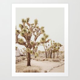 Pale Desert 2 - Joshua Tree Cactus Landscape Photography Art Print