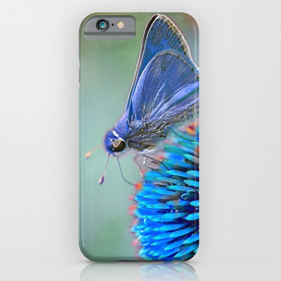Why Not? iPhone & iPod Case