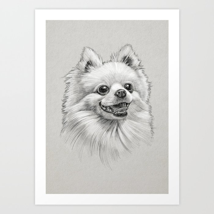 Smiling Dog (Pomeranian) Art Print