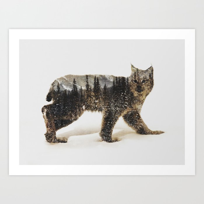 Arctic Lynx Art Print