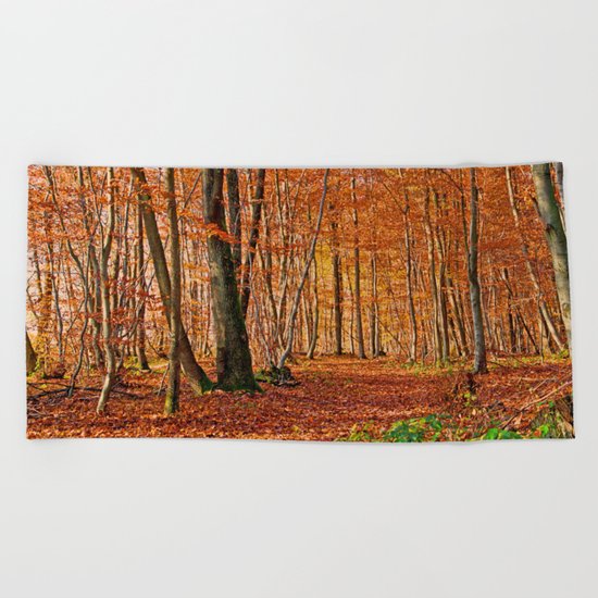 Autumn in the forest Beach Towel