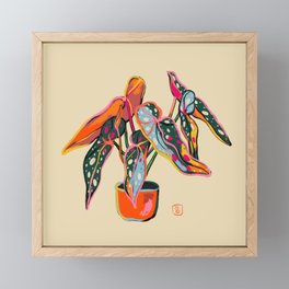 COLOURFUL BEGONIA PLANT  Framed Mini Art Print