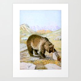 Vintage Grizzly Bear Art Print