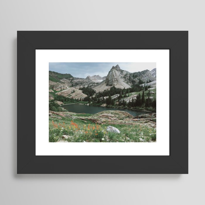 Framed Art Print