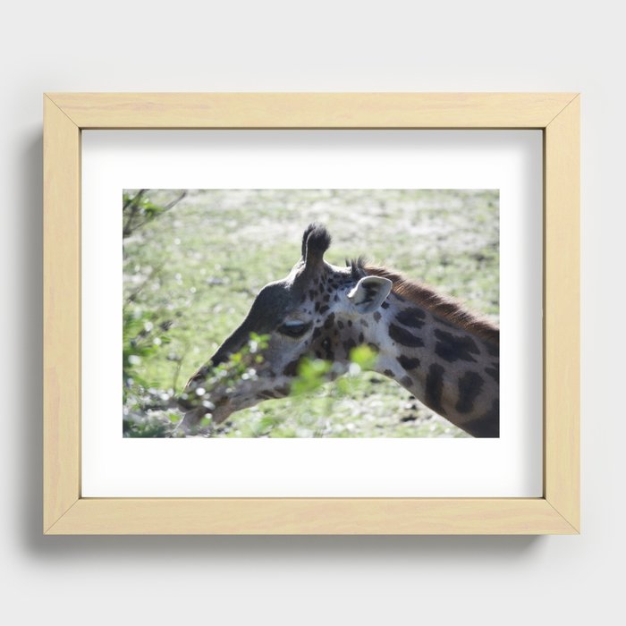 Lunch time Recessed Framed Print