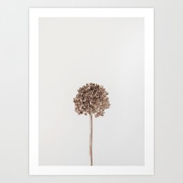 Dried Flowers Neutral Minimalist Art Print