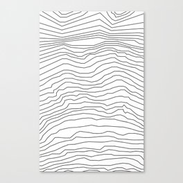 Topographical Canvas Print