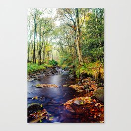 Autumn stream running into Agden Bog Nature Reserve Canvas Print