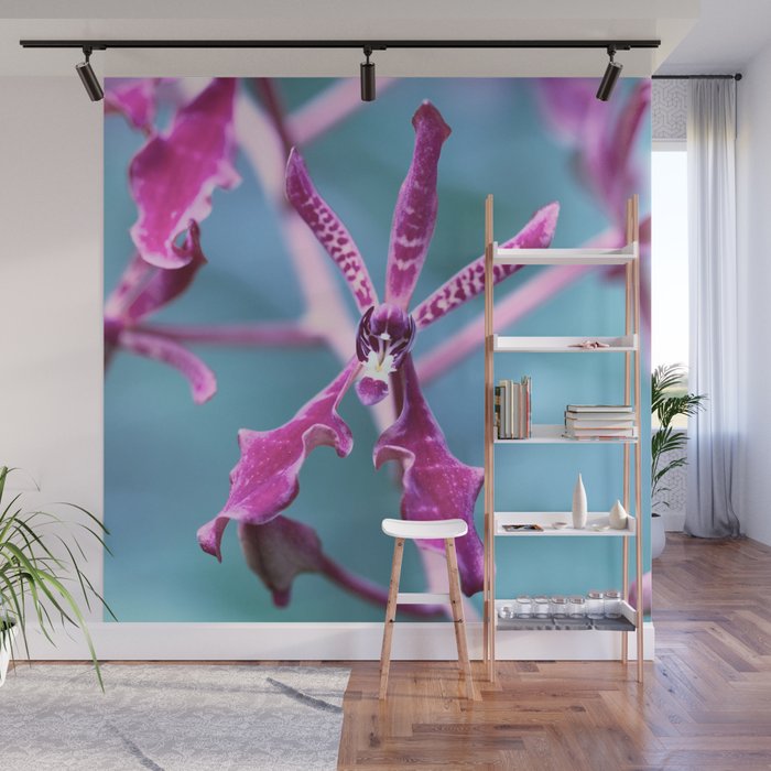 Magenta Pink Orchid On Blue Background Wall Mural