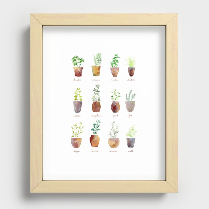 Culinary Herbs Recessed Framed Print