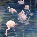 Pretty Flamingo