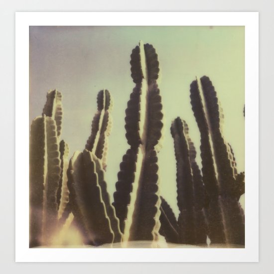 Cactus III Art Print