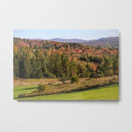 Fall into Vermont Leaves Metal Print