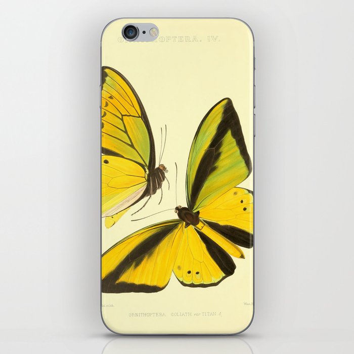 Lepidoptera Butterfly Pattern WFK Cottagecore Lithograph Print iPhone Skin