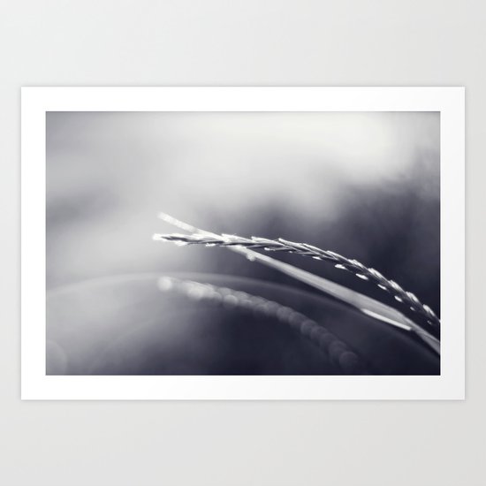 Evening Light in Black and White Art Print
