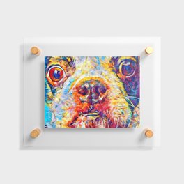 Boston Terrier 3 Floating Acrylic Print
