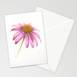 Echinacea Stationery Cards