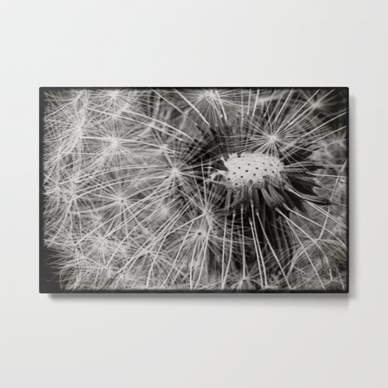 sparklers Metal Print