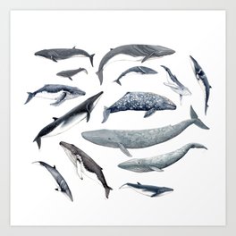 Whales all around Art Print