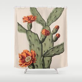 Botanical Cactus Shower Curtain