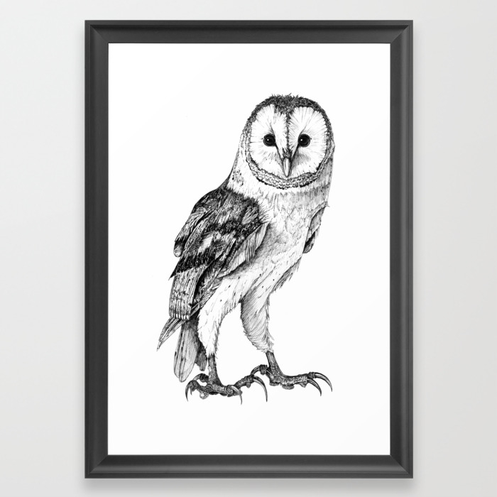 Barn Owl Drawing In Black Pen Framed Art Print By Sean Fleming Society6