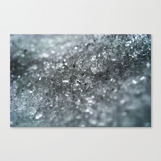 Ice Forever Canvas Print