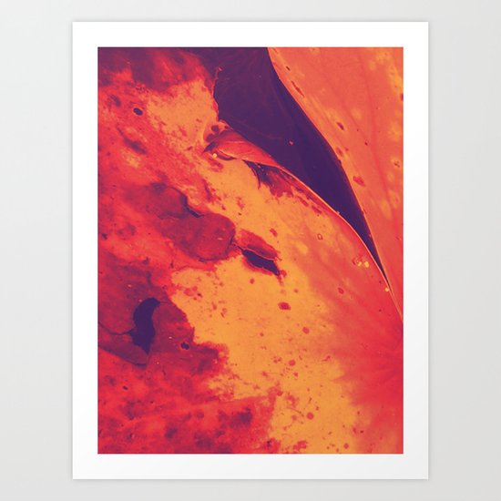Nymphaea Art Print