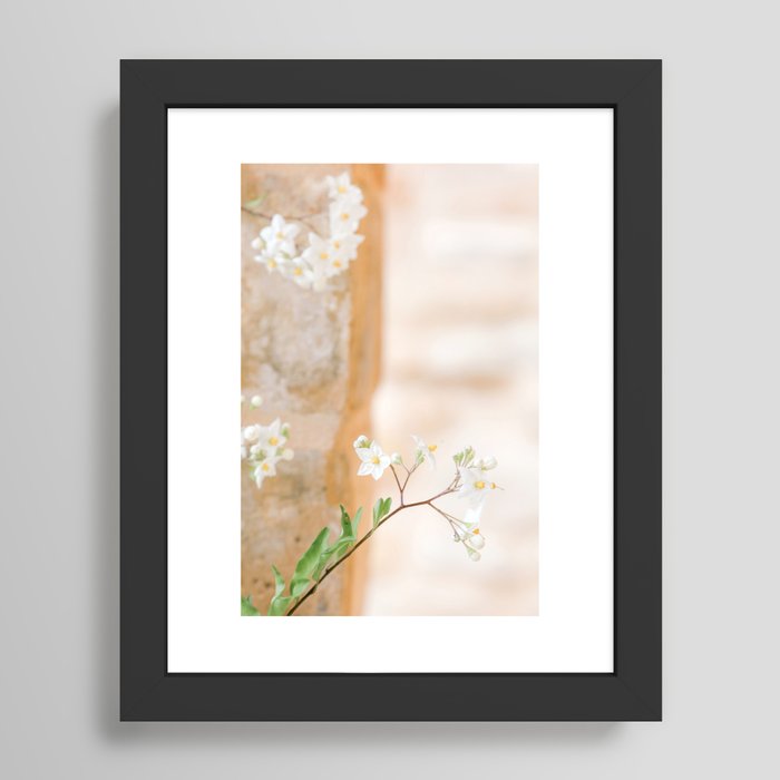 Art Photography Twig with small flowers